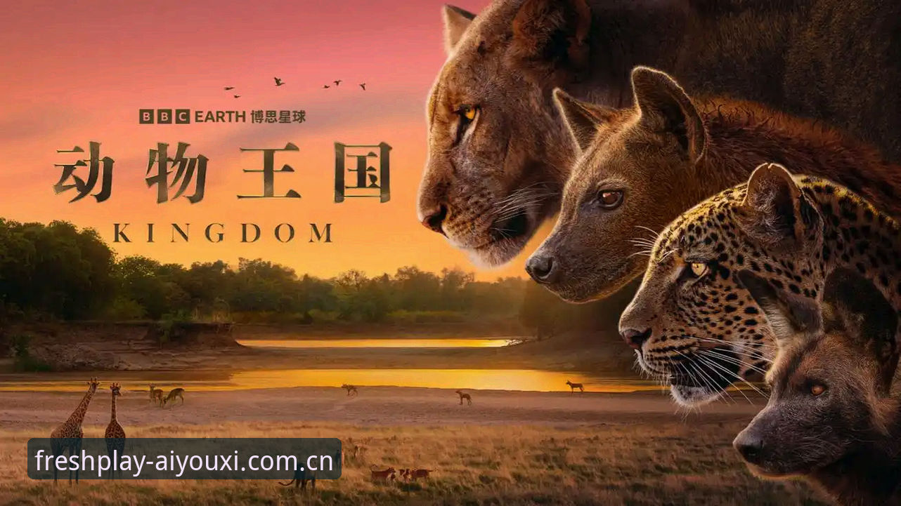 爱游戏最新版下载手机版 八年老用户分享索斯盖特BBC纪录片观后感:在爱游戏V3.4里看懂“男性圈层”